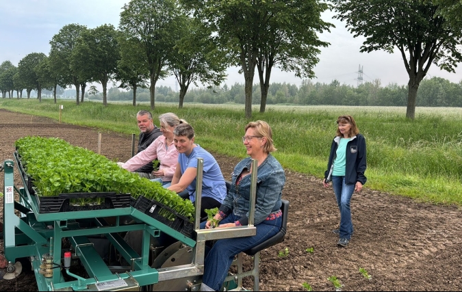 Herenboerderij Rhoon, eerste oogst uitgifte op donderdag 11 juli