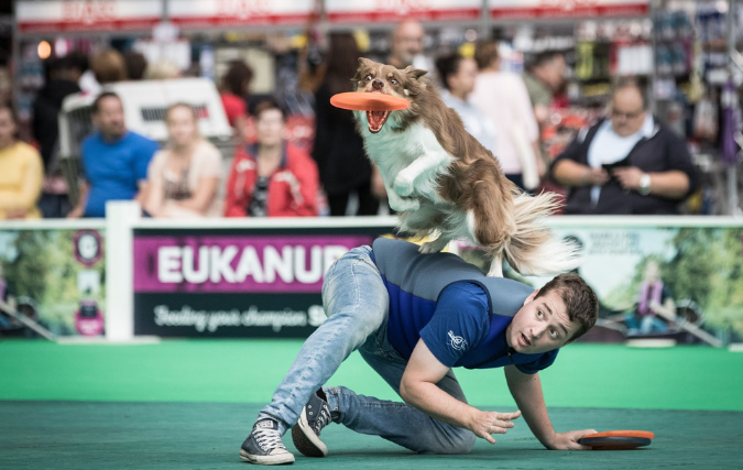 Aanstaand weekend HOND2022 in het WTC Expo te Leeuwarden