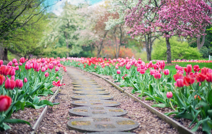 Het Onderhouden van Tuinplanten: Tips voor een Weelderige Tuin